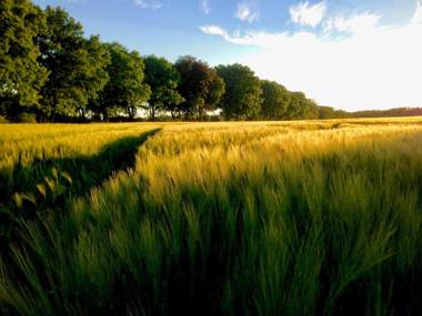 FeWo Schwalbennest Nähe Plauer See