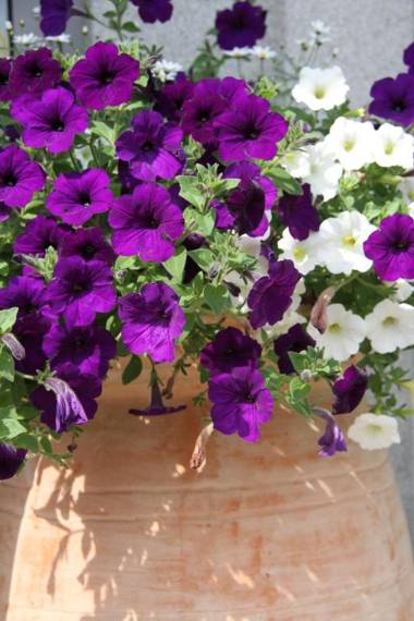 Zilks Landgasthof Zum Frauenstein