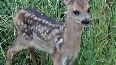 Ferienhaus zur schönen Aussicht