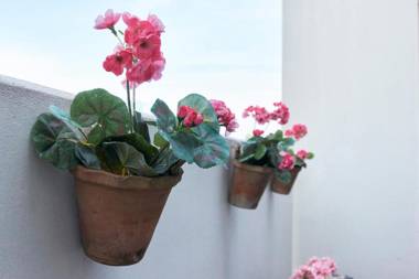 Hyggelig Apartment with a Balcony in Fancy Frederiksberg