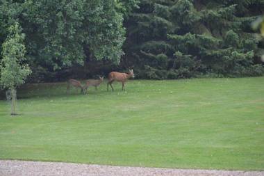 Porshus Ferielejlighed