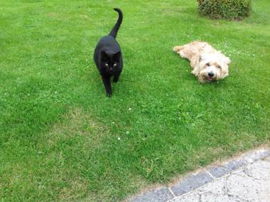 Dyrlev Bed & Breakfast