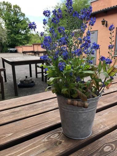 Sleep & Coffee Apartments