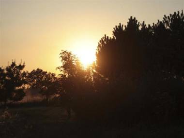 Quistgaarden Bed & Breakfast