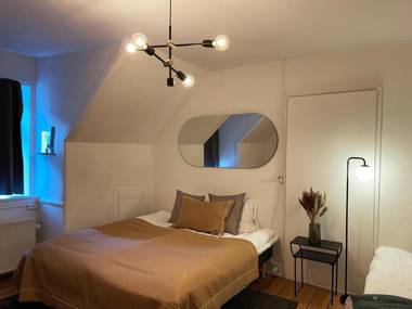 115SQM Apartment in the Heart of Copenhagen - Designer Furniture