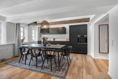 Amazing apartment with a roof-top terrace in the heart of Copenhagen