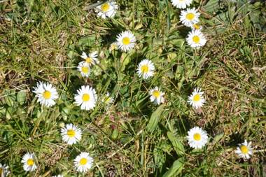 Gunneruphus Bed & Breakfast