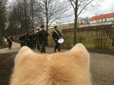 Fredensborg Vandrerhjem i Kongens baghave