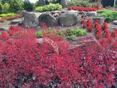 Birkende Bed and Breakfast