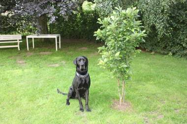 Bremsmaj Farm Holiday