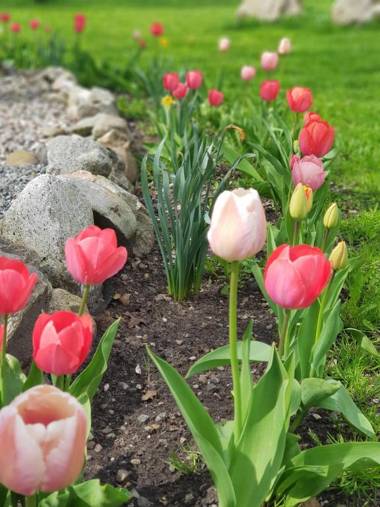 Toscana Restaurant and Bed & Breakfast