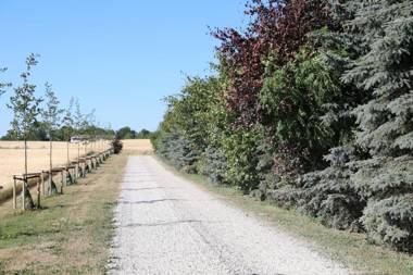 Åmarksgård Guesthouse