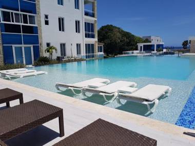 Koko and Suzy's ocean dream