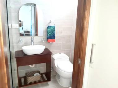 3 bedrooms appartement with shared pool furnished garden and wifi at Santiago De Los Caballeros