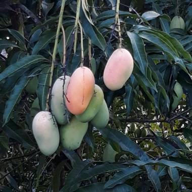 Tha place to Enjoy Life!!!