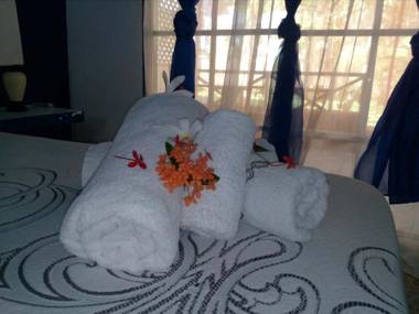 House Jardin Del Caribe