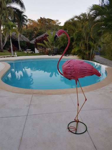 Casa Flamingo