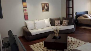 Suite AAA Jacuzzi WIFI Cable Internet malls cines transporte...todo a pocos pasos.