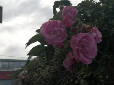 Minisuite Quito en el mejor sector de la ciudad