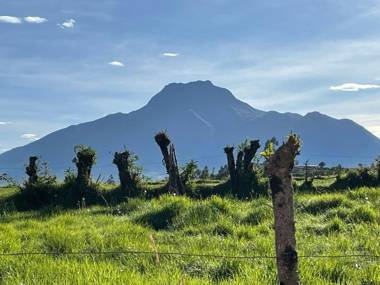 Hacienda Rosas Pamba