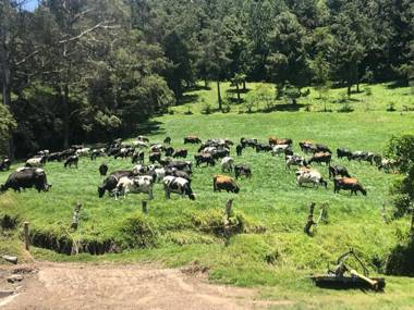 Hacienda Rosas Pamba