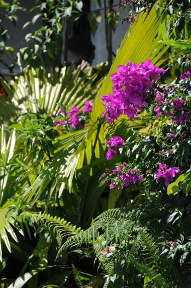 Hacienda Primavera Wilderness Ecolodge