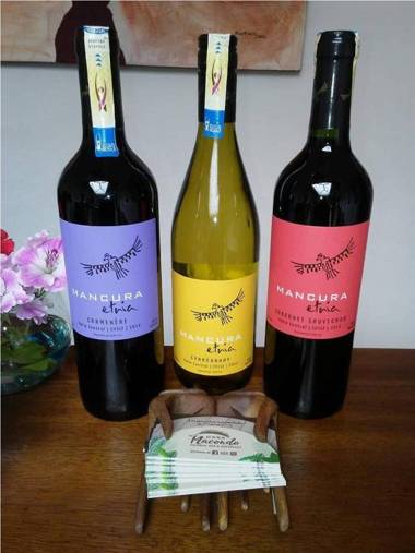 Casa Macondo Bed & Breakfast