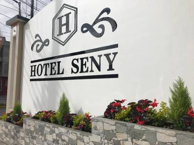 Hotel Seny