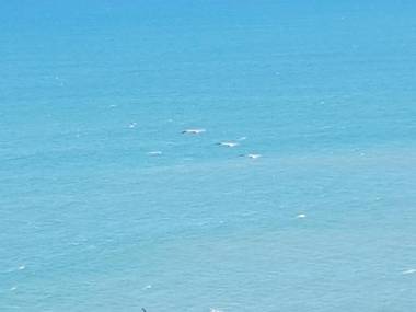 Departamento frente al mar Grand Diamond