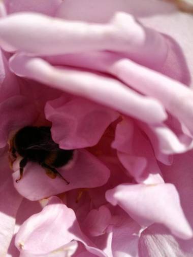 Matrix Garden Apartments