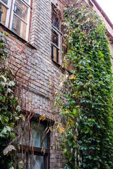 Dream Stay - Bright 2-Bedroom 2-Floor Old Town Apartment