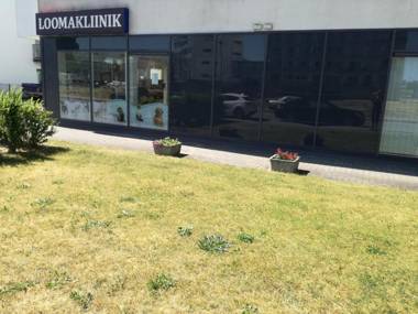 Papiniidu Studio Apartments