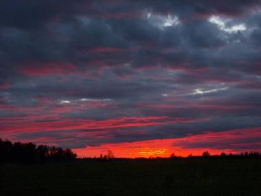 Pohlametsa Holiday House