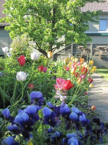 Piibelehe Guest Accommodation