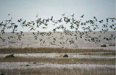 Tuulingu Holiday House at Matsalu National Park