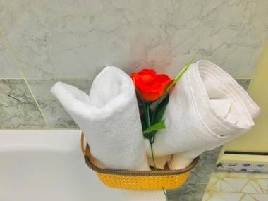 Chic Apartment Downtown Cairo