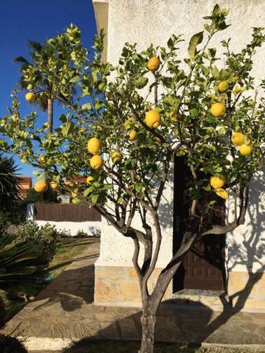 3 bedrooms villa at Benajarafe 300 m away from the beach with sea view private pool and enclosed garden