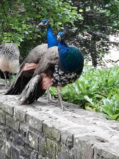 Hostal Palacio Jaureguia