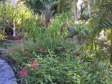 Apartamentos y Bungalows Finca Colón