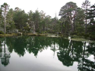 Los Ranchales Vinuesa