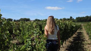 HOTEL ENOTURISMO MAINETES