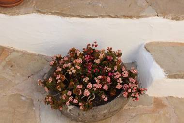 Agroturismo Can Pardal