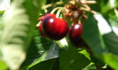 Puente Canto de Gredos