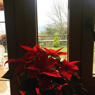 Posada de Villacarriedo