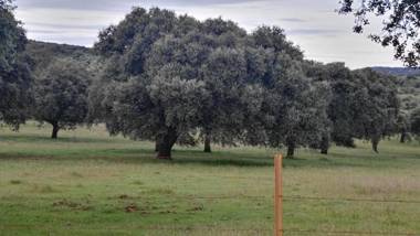 Casa Rural EL Trillo