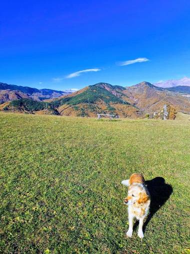 Turismo Rural Casa del Batlle
