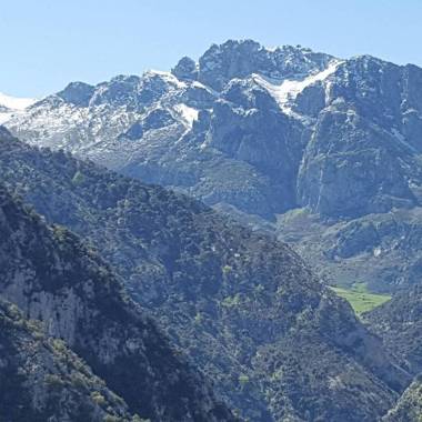 Casa Rural Pocotrigo