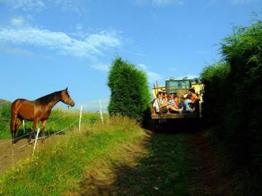 Hotel Rural Yeguada Albeitar