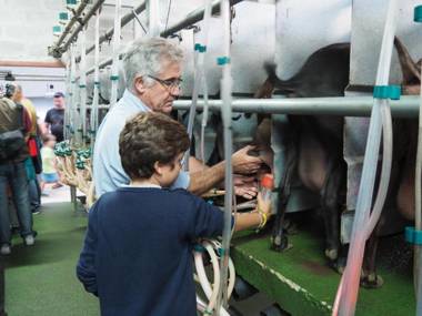 Hotel Rural Yeguada Albeitar