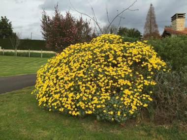 Almarinae apartamentos